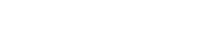 Borough of Dublin